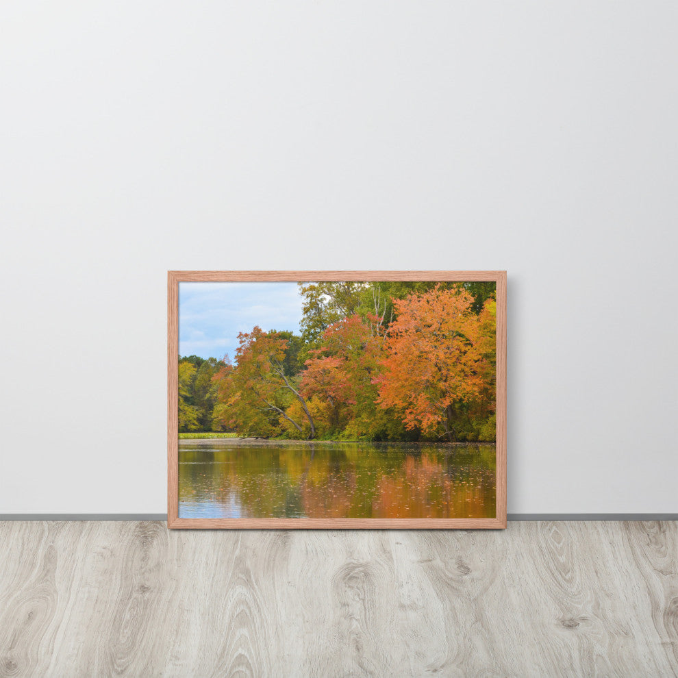 Autumn Tree Line Rural Landscape Framed Photo Paper Wall Art Prints, Red Oak, 18" X 24"