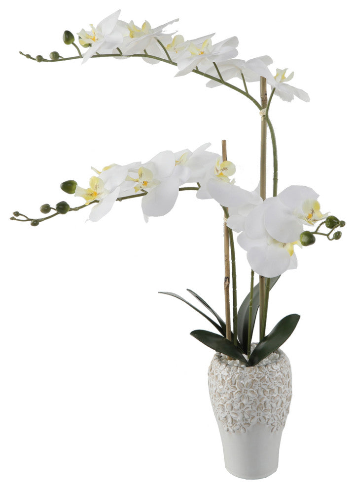 20"H Real-Touch Orchid In 5X8" Ceramic Vase