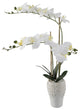 20"H Real-Touch Orchid In 5X8" Ceramic Vase