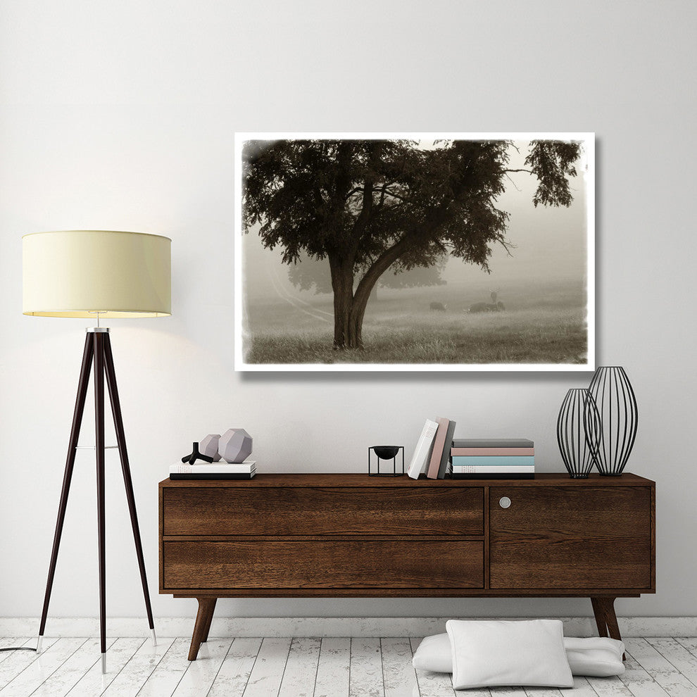 "Calm Mist" Digital Paper Print by Debra Van Swearingen, 62"x42"