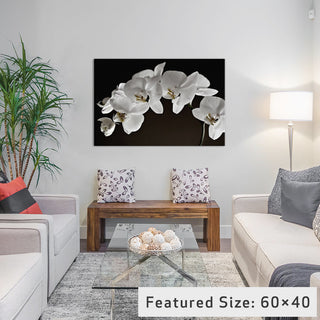 "Orchids" Wrapped Canvas Art Print, 18x12x1.5