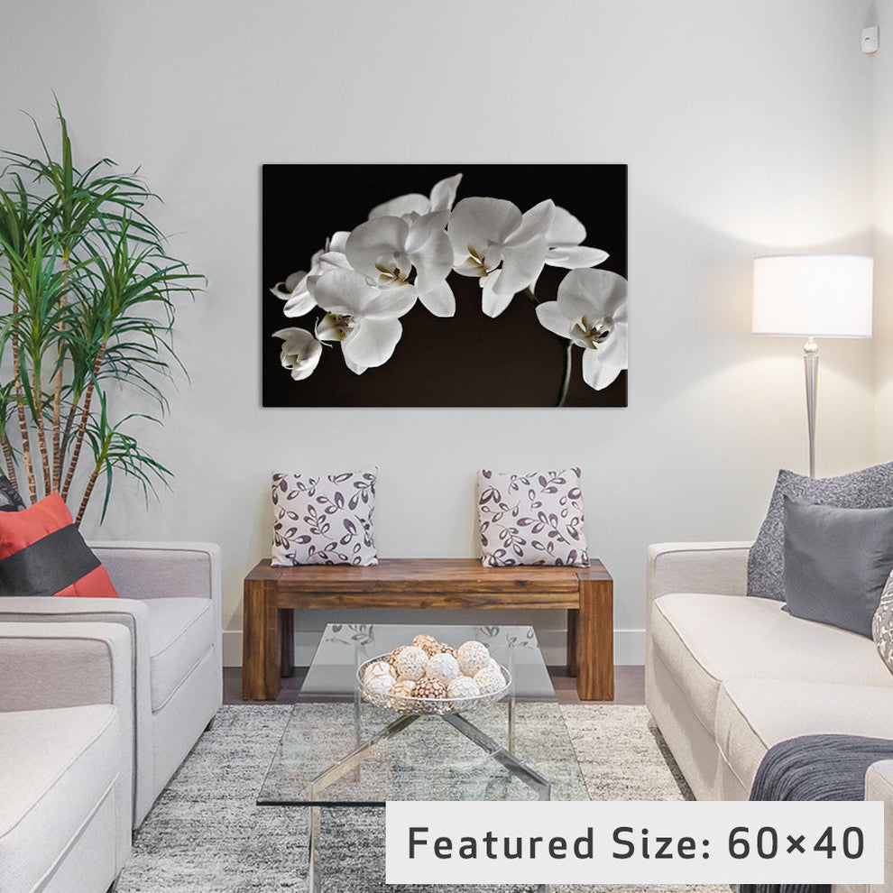 "Orchids" Wrapped Canvas Art Print, 18x12x1.5