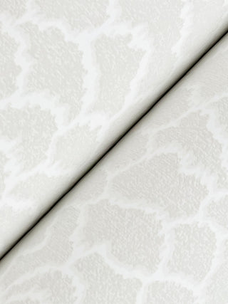 Nadie White Wallpaper