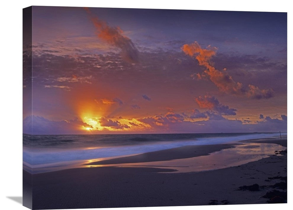 "McArthur beach at sunrise, Florida" Canvas Giclee by Tim Fitzharris, 24"x18"