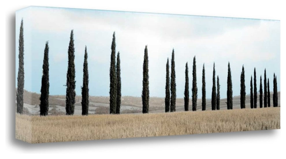 "Val De Orcia Pano - 5" By Alan Blaustein, Giclee Print on Gallery Wrap Canvas
