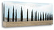 "Val De Orcia Pano - 5" By Alan Blaustein, Giclee Print on Gallery Wrap Canvas