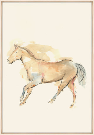 Tan Rider 2, 36 x 53