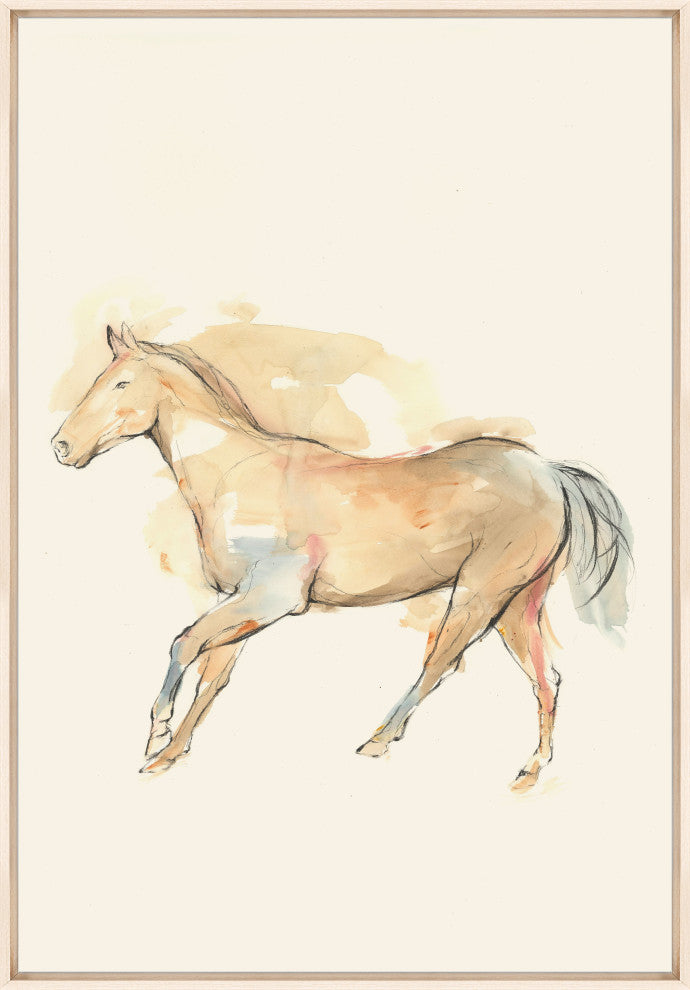 Tan Rider 2, 36 x 53