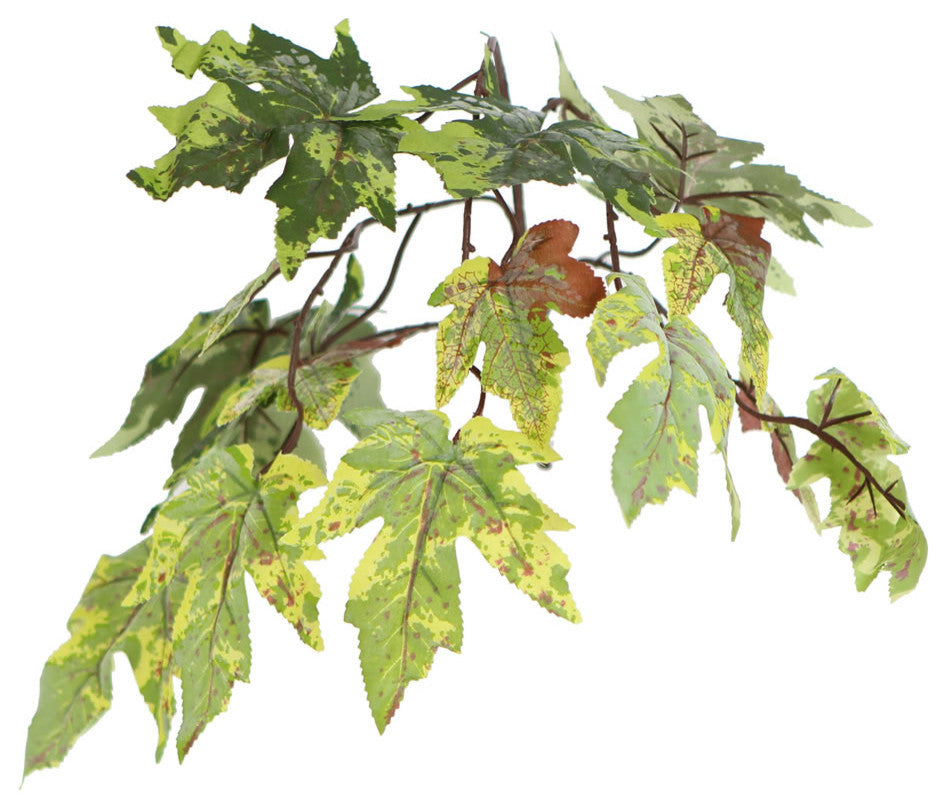 6' Frosted Maple Tree