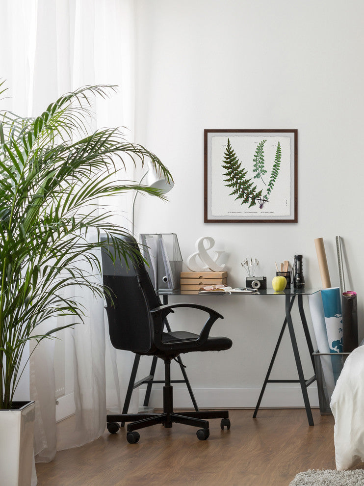 "Indian Ferns" Framed Painting Print, 24"x24"