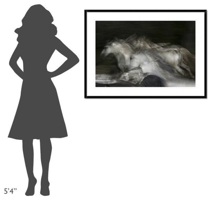 "Into The Dark" Framed Digital Print by Milan Malovrh, 44x32"