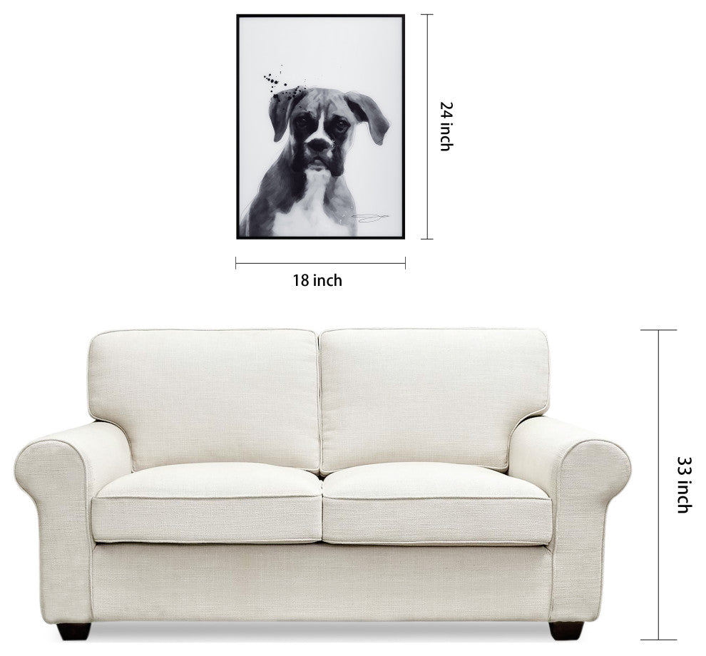 "Boxer" Black and White Pet Art on Printed Glass Encased with Anodized Frame