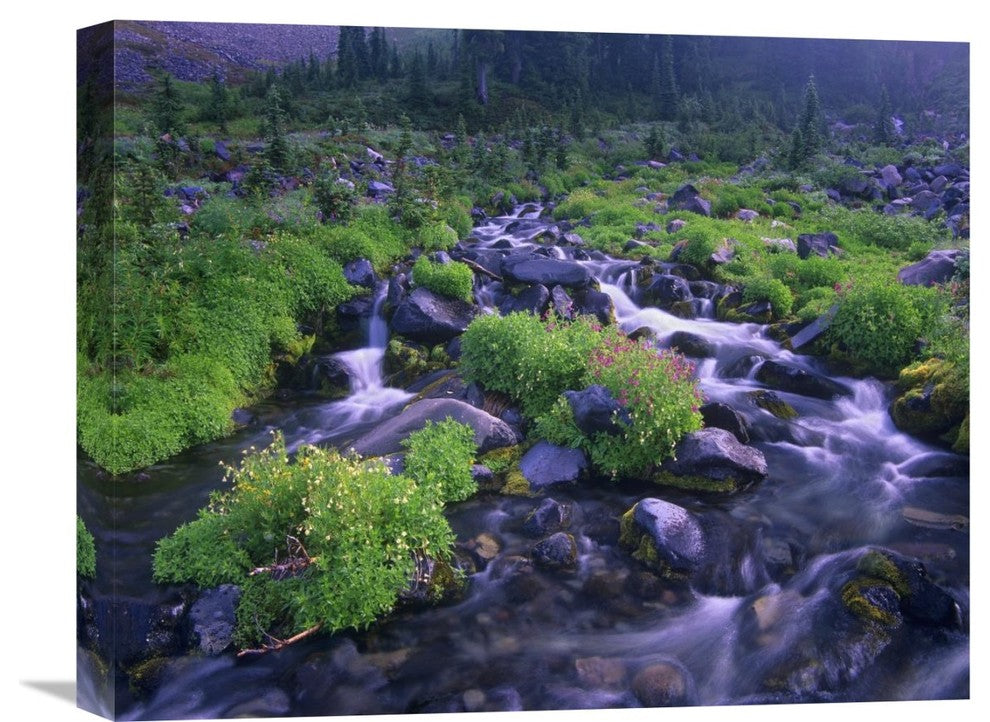 "Paradise River Wildflowers, Mount Rainier National Park, Washington" Artwork