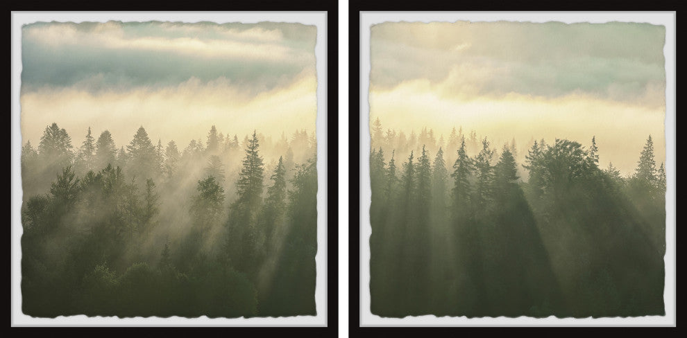 Sunlight Through Trees Diptych, 2-Piece Set, 32x32 Panels
