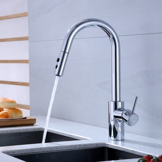 Luxier KTS21-T Single-Handle Pull-Down Sprayer Kitchen Faucet, Chrome
