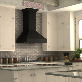 ZLINE 48 in. Designer Series Wall Mount Range Hood, 8667B-48