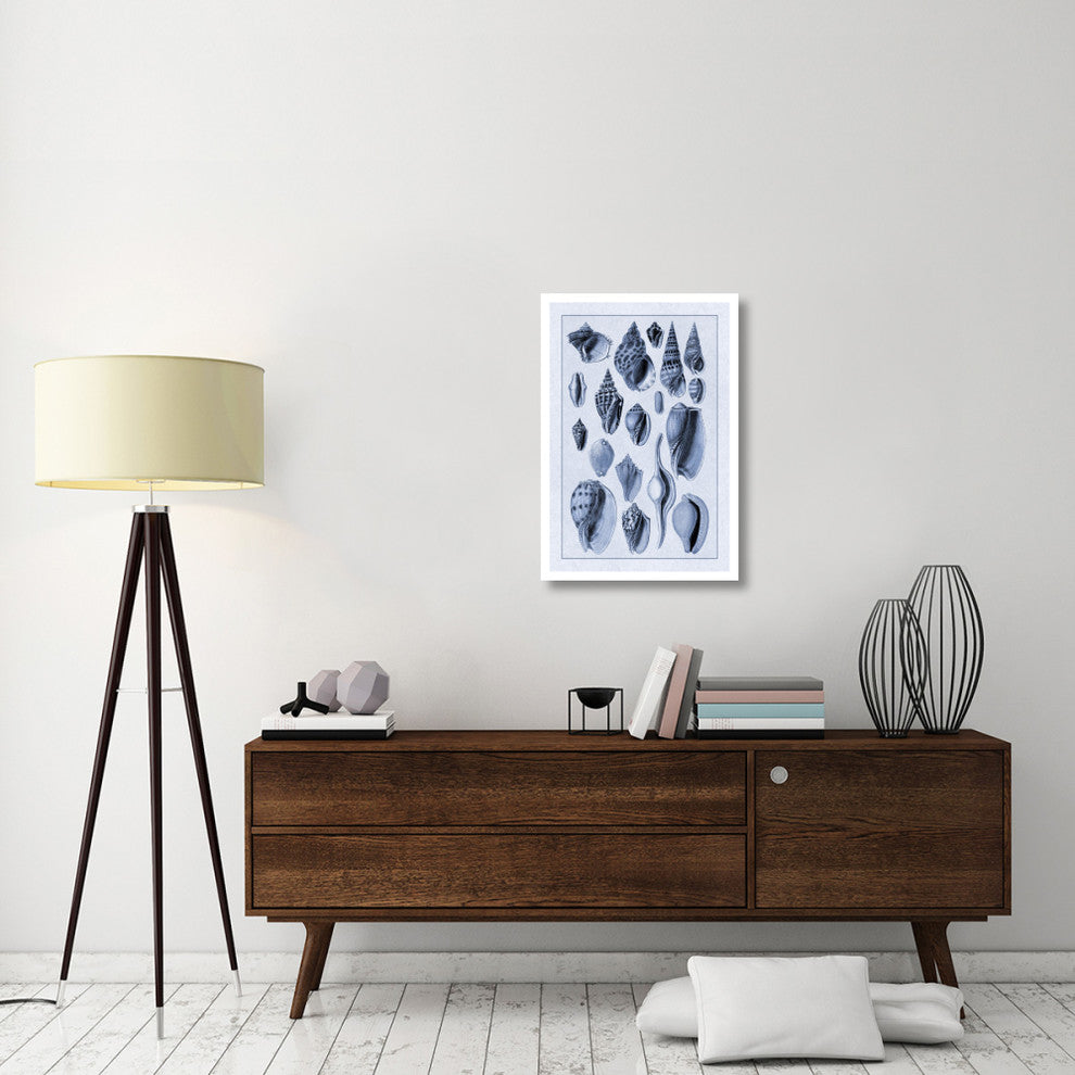 "Shells: Trachelipoda #6 (Blue)" Digital Paper Print by G.B. Sowerby, 22"x32"