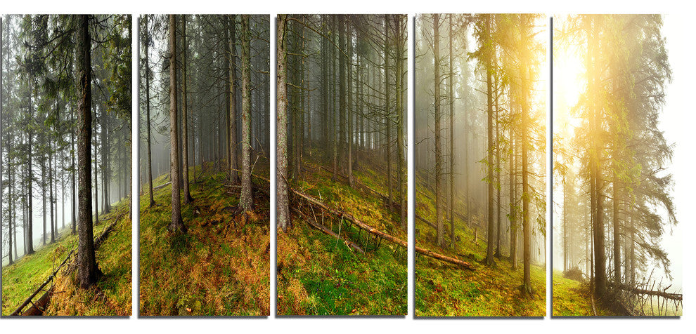 "Early Morning Sun in Forest" Canvas Print, 5 Panels