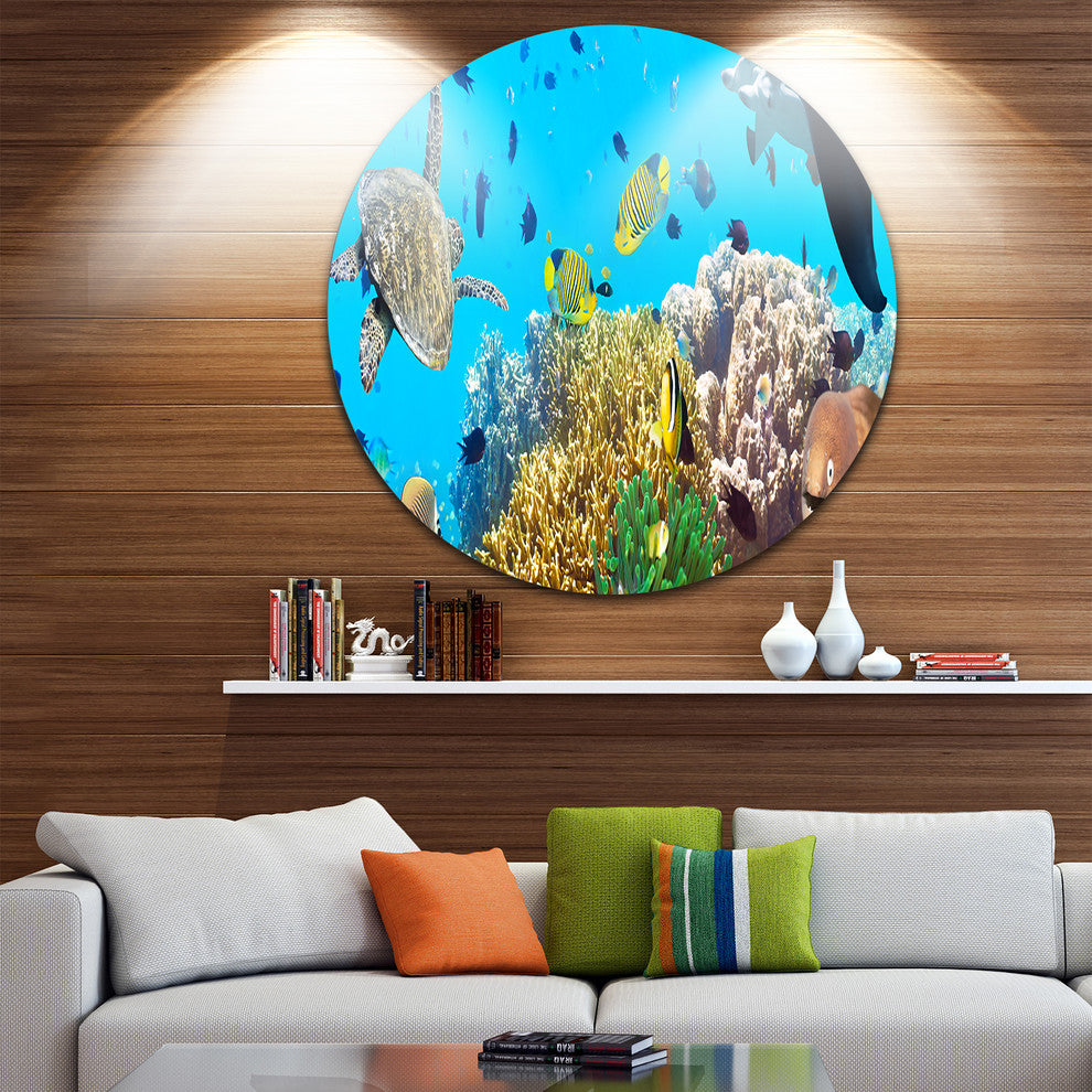 Underwater Panorama With Sea Creatures, Photo Round Wall Art, 23"