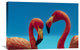"Greater Flamingo Courting Pair, Caribbean Species" Artwork, 30" x 20"