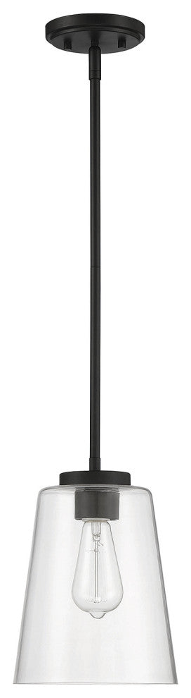Calhoun 1-Light Matte Black Large Mini-Pendant