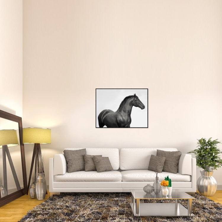 "King Mamba, Stallion" Framed Canvas Giclee by Pangea Images, 41x31"