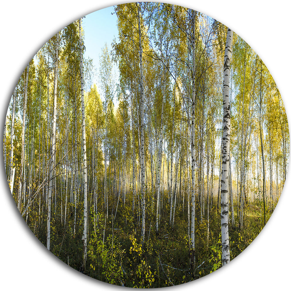 Green Autumn Trees, Landscape Photo Round Wall Art, 23"