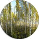 Green Autumn Trees, Landscape Photo Round Wall Art, 23"