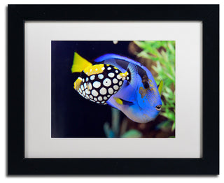 'Colorful Tropical Fish' Matted Framed Canvas Art by Kurt Shaffer
