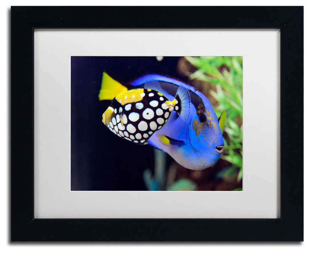 'Colorful Tropical Fish' Matted Framed Canvas Art by Kurt Shaffer
