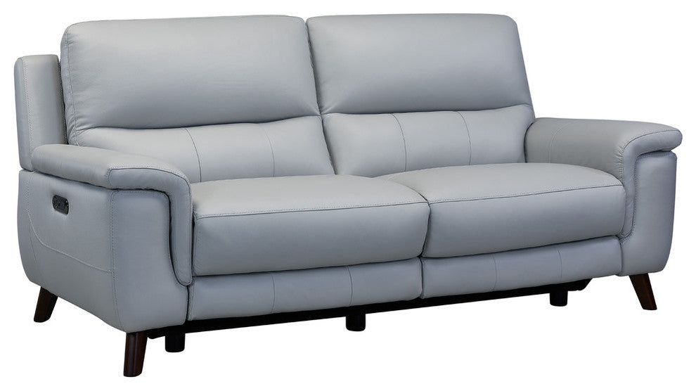 Steffanie Contemporary Sofa, Dark Wood and Dove Gray Genuine Leather