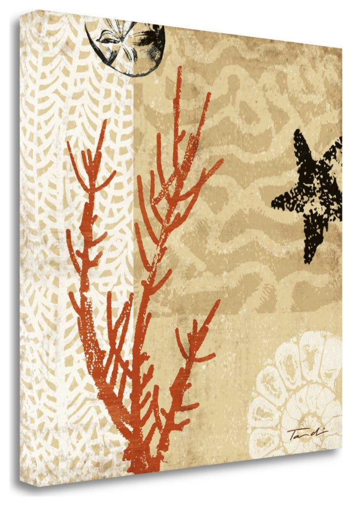 Underwater Coral With Starfish and Sandollar 3 Giclee Wrap Canvas Wall Art