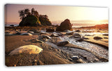 Olympic National Park Coast, Large Seashore Canvas Print, 32"x16"