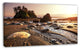 Olympic National Park Coast, Large Seashore Canvas Print, 32"x16"
