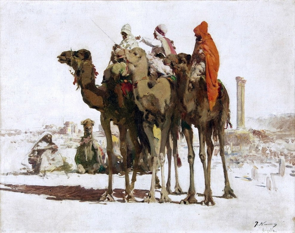 Jose Navarro Llorens Camellos - 20" x 25" Premium Canvas Print