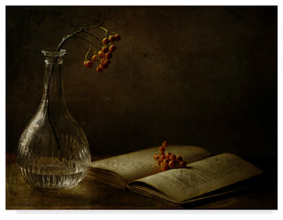 Delphine Devos 'In The Dark Of My Days' Canvas Art, 32"x24"