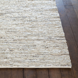 Jazz Contemporary Area Rug, Silver and Tan, 2'6x7'6 Runner