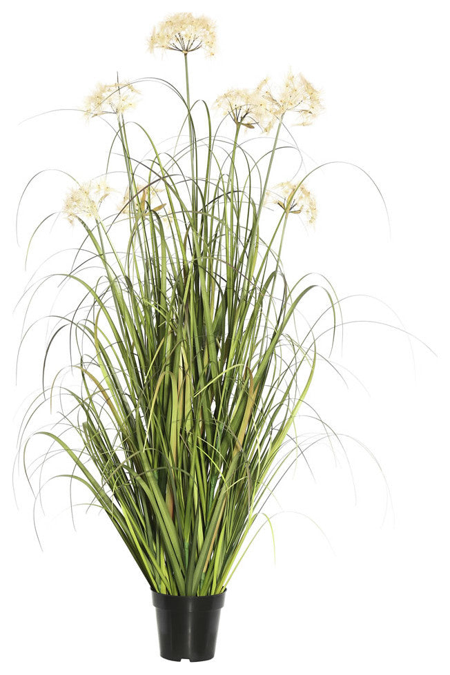 36" Dandelion Grass In Pot