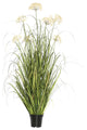 36" Dandelion Grass In Pot