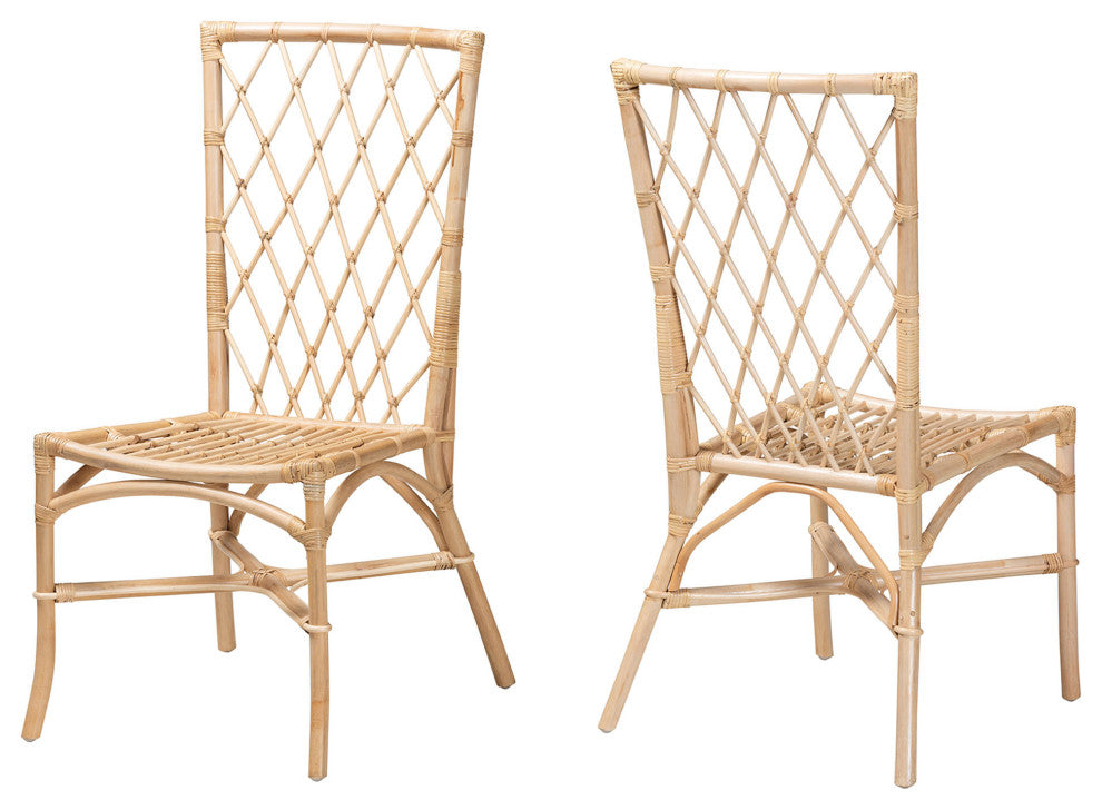Doria Modern Bohemian Natural Brown Rattan 2-Piece Dining Chair Set