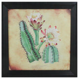 Cactus and Other Desert Plants by Black Photo Frame, 14"
