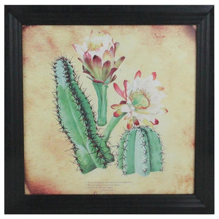Cactus and Other Desert Plants by Black Photo Frame, 14"