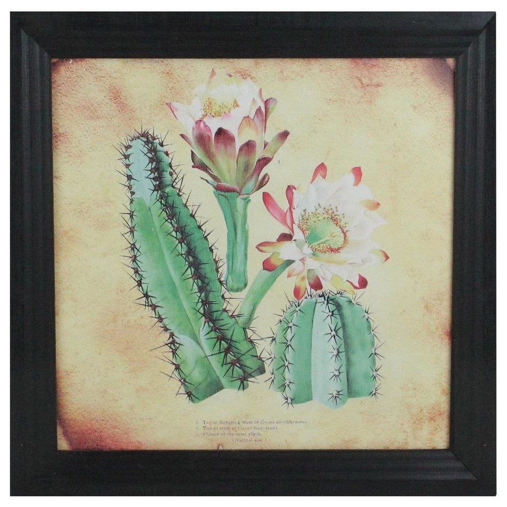 Cactus and Other Desert Plants by Black Photo Frame, 14"