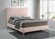 Geri Velvet Upholstered Bed, Pink, Full