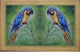 Blue Macaw Door Mat 18x26