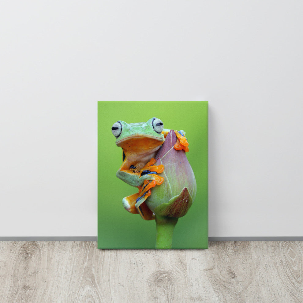 Tiny Green Tree Frog on Lotus Bloom Wildlife Floral Photo Canvas Wall Art Prints, 12" X 16"