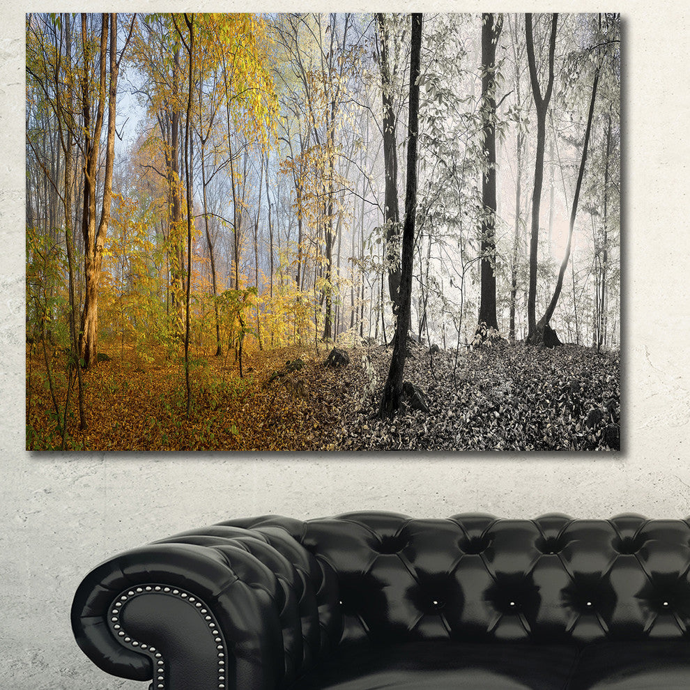 Yellow Morning in Forest Panorama, Large landscape Canvas Art Print, 60x40