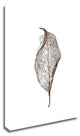 Leaf by Design Fabrikken, Print on Canvas, 30"x42"