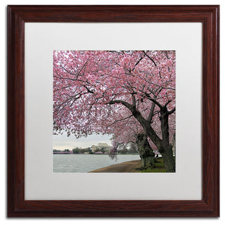 CATeyes 'Tidal Basin Blossoms' Matted Framed Art, 16x16