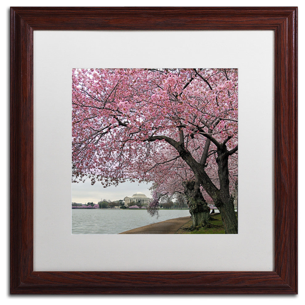 CATeyes 'Tidal Basin Blossoms' Matted Framed Art, 16x16
